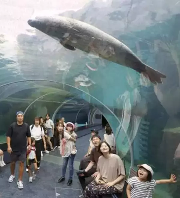 連休最終日　笑顔いっぱい　まつりや動物園…にぎわう札幌