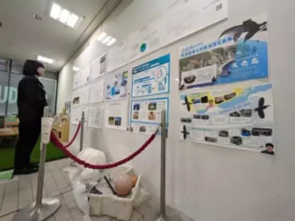 海鳥のプラ誤飲知って　札幌でパネル展