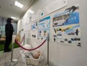 海鳥のプラ誤飲知って　札幌でパネル展