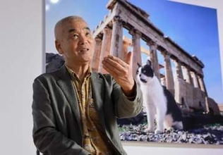 欧州各地のネコ愛らしく　岩合光昭さん写真展、札幌で12日開幕