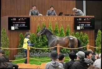 日高軽種馬農協　札幌で競走馬競り市　2歳馬58頭落札、売却率78％
