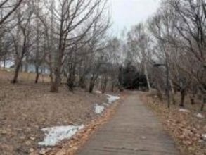 札幌ドーム緑地「自然共生サイト」に　環境省が認定　動植物への配慮評価