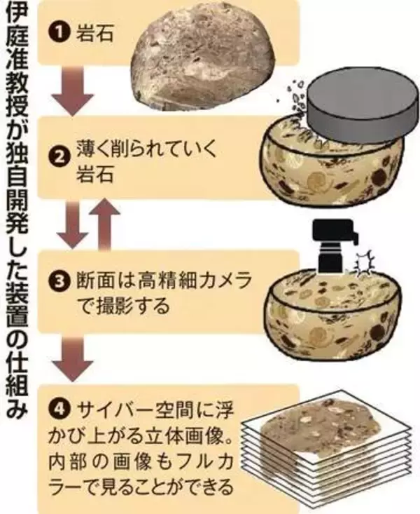 北大 透過装置が拓く新世界、古生物で新発見続々　医学や芸術での応用も