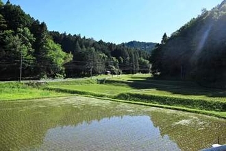 農産物の適正価格とは？　消費者・生産者の双方納得　全国の事例から考える＜望月記者が読み解く＞