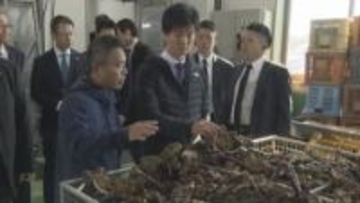 【広島】養殖カキ大量死　鈴木農水大臣が加工現場視察