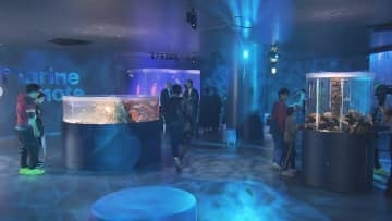 「広島もとまち水族館」オープン　多くの人でにぎわう　広島