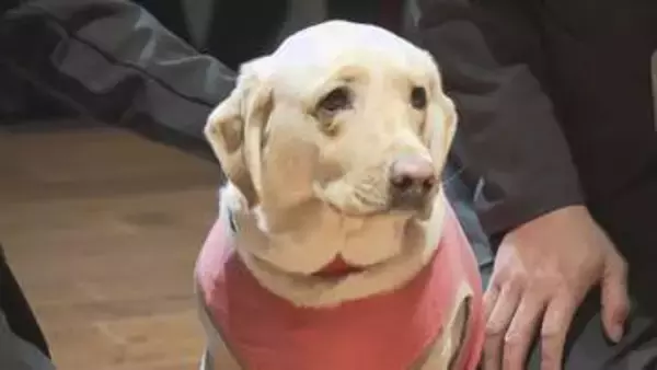 「スクールドッグ」の本格導入始まる　生徒たちの心のケアなどに　広島