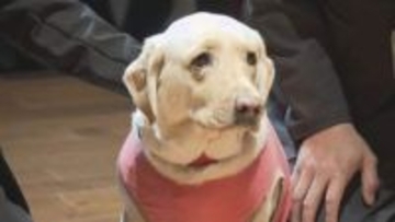 「スクールドッグ」の本格導入始まる　生徒たちの心のケアなどに　広島