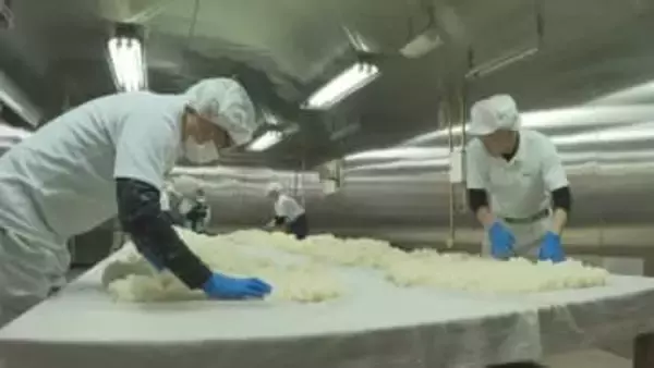 日本酒の「寒仕込み」が最盛期　呉市