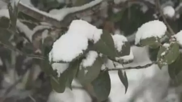 広島市中区で６ｃｍ　県内全域で雪　交通機関に影響（８日午後５時時点）