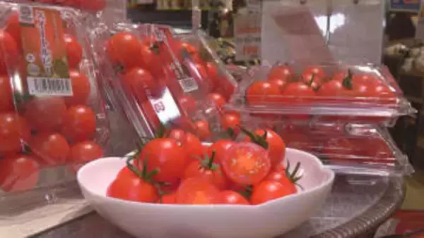糖度８度以上「スイートルビートマト」フレスタ全店で販売へ　広島