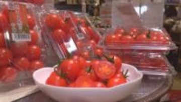 糖度８度以上「スイートルビートマト」フレスタ全店で販売へ　広島