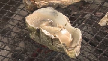 「安全に問題なく食べられることを伝えたい」カキ生産者を応援するイベント開催　広島・廿日市市