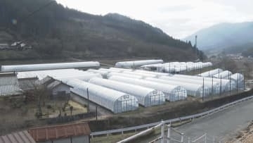 北広島町で子グマ捕獲　周囲に親グマがいる可能性も