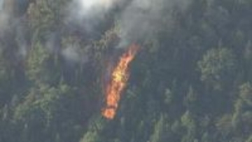 17日　福山で山林火災　延焼続く