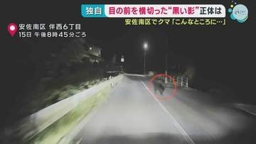 県道にクマ出没　ドライブレコーダーに体長1メートルの姿【広島・安佐南区】