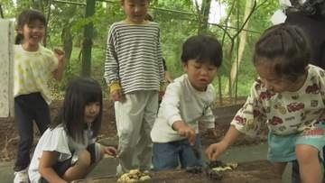 園児も興奮 カブトムシドーム公開　国営備北丘陵公園