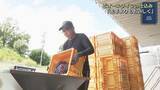 「三次産ピオーネでワイン仕込み開始　【広島県・三次市】」の画像1