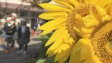 木下あいりさん（当時小１）殺害事件から２０年　続く見守り活動　広島