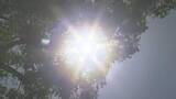 「広島県内１０地点で気温３０℃超の真夏日に　広島市中区は最高気温３１．１℃を観測」の画像1