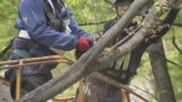 「安全に使えるように」県庁敷地内で倒木の危険がある木を伐採　広島