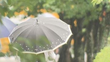 広島県　夕方にかけて激しい雨に注意　前線や台風が影響