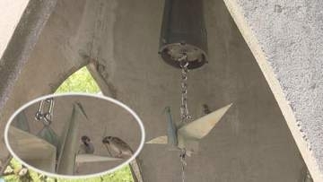 「原爆の子の像」にスズメの巣　保護のため鐘の鎖取り外す　広島
