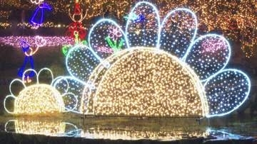 「備北イルミ」あす開幕で試験点灯　過去最多８０万個の輝き