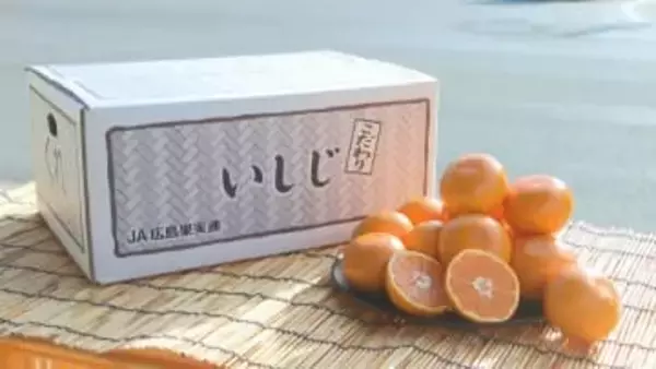 高級ミカン「こだわりいしじ」出荷　呉市倉橋町