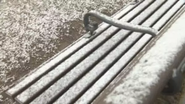 今季最長寒波　広島市内でも雪