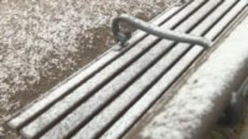 今季最長寒波　広島市内でも雪