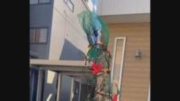 不審火　住宅の“クリスマスツリー” 燃える 11年成長とともに…熱源なく放火の可能性も　札幌・西区