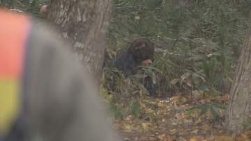 札幌・円山動物園でクマ出没想定し訓練 「緊急銃猟」の手順確認　初のドローン誘導も雪の課題も