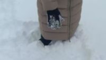 「本日4回目の雪かき」札幌市北区あいの里、積雪36cm　帰宅ラッシュを前に視界悪化・事故や転倒に注意を