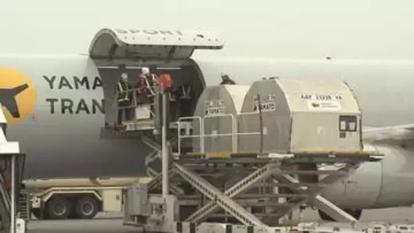 道産牛乳をスピード空輸　新千歳空港発着の貨物専用機　成田・羽田・北九州に続き関西国際空港にも就航