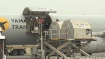 道産牛乳をスピード空輸　新千歳空港発着の貨物専用機　成田・羽田・北九州に続き関西国際空港にも就航