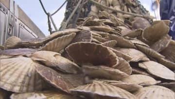 紋別の水産加工会社「今後中国に対する販売は少なくみて進める」中国政府、日本産水産物の輸入を事実上停止