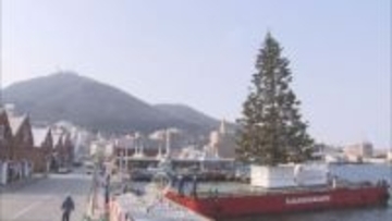 海に浮かぶ高さ20mの巨大ツリーが登場　函館・金森赤レンガ倉庫前　29日から15万個のLED点灯