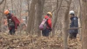通学中の小学生が雑木林の中にクマのような動物が居座っているのを目撃　札幌市南区・藤野