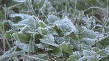 「年が年だから寒いわ」　北海道各地で今シーズン1番の冷え込んだ朝に　陸別町でー4.3度など