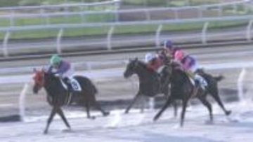 ホッカイドウ競馬 今年度の全日程終了 販売額＆入場者数の過去最高記録更新