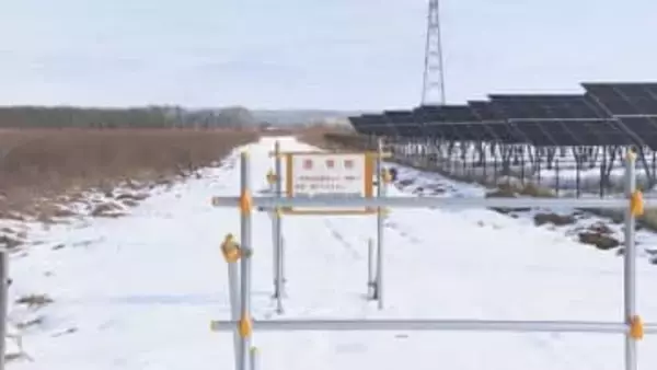 釧路メガソーラー問題に新事実　無許可で使用していた国有地に絶滅危惧種「キタサンショウウオ」が生息