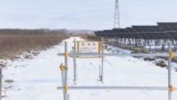 釧路メガソーラー問題に新事実　無許可で使用していた国有地に絶滅危惧種「キタサンショウウオ」が生息