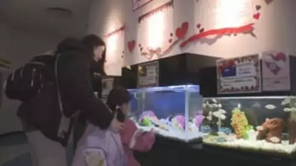 「ハートになってる」水族館でときめき体験　バレンタインデーにちなんだ"魚"が集合　札幌