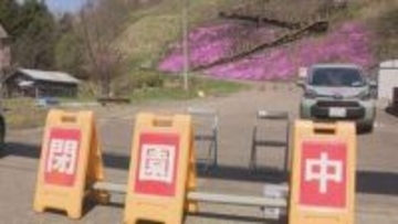 強風による倒木で断線　滝上町で13時間超の停電が解消　臨時閉園の「芝ざくら滝上公園」は7日から営業再開