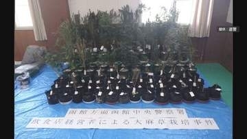 共同住宅で大麻栽培・所持か 乾燥大麻だけで末端化価格515万円 飲食店経営31歳の男逮捕 容疑の一部否認