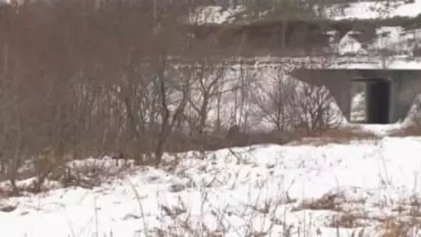 メガソーラー建設計画　大阪の事業者が釧路市との協議完了前に新たな予定地で木を伐採