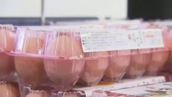 鳥肉・卵 食卓に影響は　高病原性鳥インフルエンザ感染でニワトリ約19万羽の殺処分開始　道内食肉用の約3％