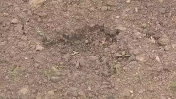 【クマ最前線】住宅街の近くにまた…家庭菜園で足跡発見、別のクマか 北海道・遠軽町