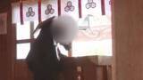 「【防カメ映像】棒状のものをさい銭箱の中に…窃盗未遂などの疑いで78歳男逮捕「神社を取り締まりたかった」」の画像1